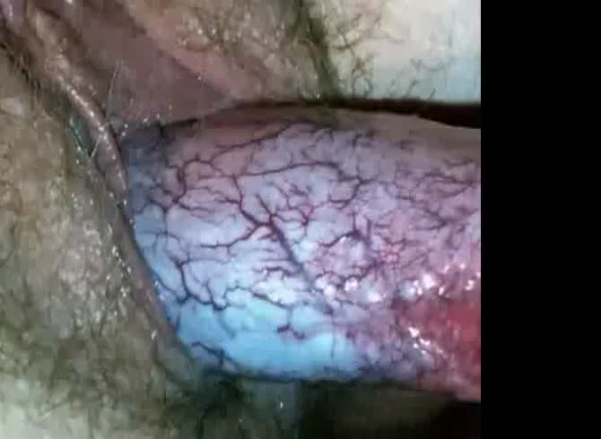 Video :Close-up shot of slut having dog dick in her pussy